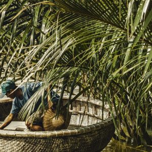 Basket boat in the coconut forest, Hoi An
